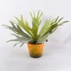 Artificial Plant 28CM Artificial succulent in Paper pulp pot GS-6660706