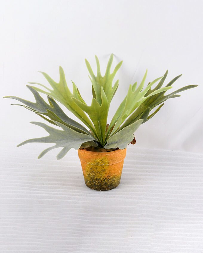 Artificial Plant 28CM Artificial succulent in Paper pulp pot GS-6660706