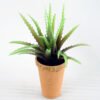 Artificial Plant H:28cm Aloe in paper pot GS-6660629-G2