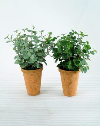 Artificial Plant H:28cm Eucalyptus in paper pot GS-6660631 Potted Flowers&Plants YeahFlower is one of Chinese leading OEM manufacturers and exporters , supplying the silk flowers, wholesale artificial trees Artificial Plant H:28cm Eucalyptus in paper pot GS-6660631