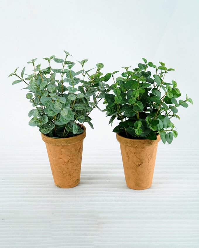 Artificial Plant H:28cm Eucalyptus in paper pot GS-6660631 1 Artificial Plant H:28cm Eucalyptus in paper pot GS-6660631