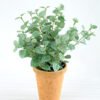 Artificial Plant H:28cm Eucalyptus in paper pot GS-6660631-G1