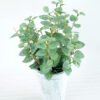Artificial Plant H:28cm Eucalyptus in paper pot GS-6660637