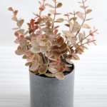 Artificial Plant 16*16*25cm Eucalyptus in plastic pot GS-03318170-K1