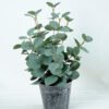Artificial Plant H:34CM Eucalytus in metal pot GS-6660588