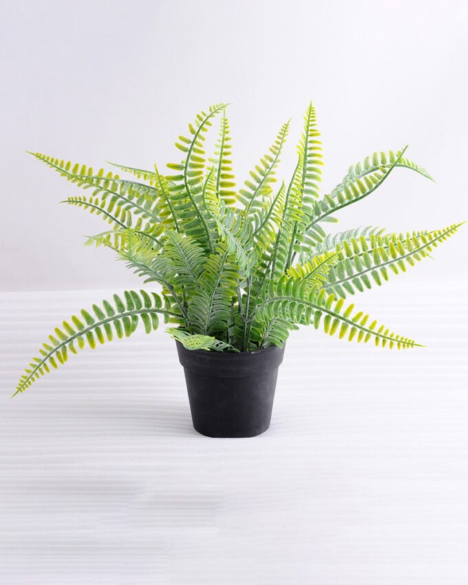 Artificial Plant 36*36*31cm Ferns in plastic pot GS-03318089