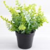 Artificial Plant 22*22*24cm Ferns in plastic pot GS-03318090-G1