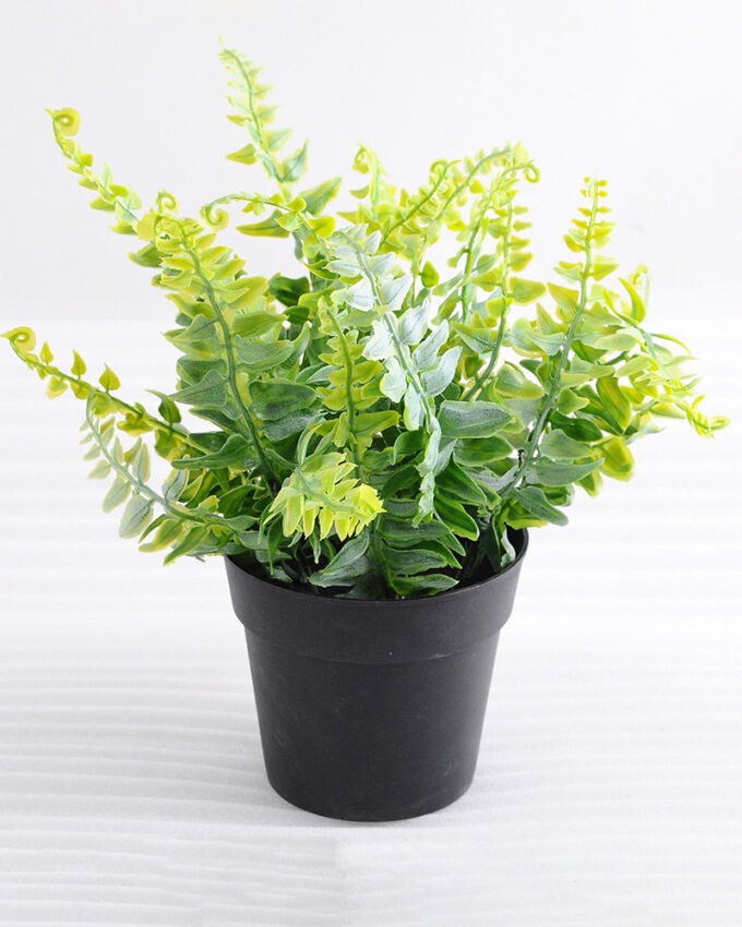 Artificial Plant 22*22*24cm Ferns in plastic pot GS-03318090-G1