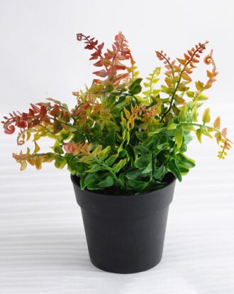 Artificial Plant 22*22*24cm Ferns in plastic pot GS-03318090-R2 Potted Flowers&Plants YeahFlower is one of Chinese leading OEM manufacturers and exporters , supplying the silk flowers, wholesale artificial trees Artificial Plant 22*22*24cm Ferns in plastic pot GS-03318090-R2
