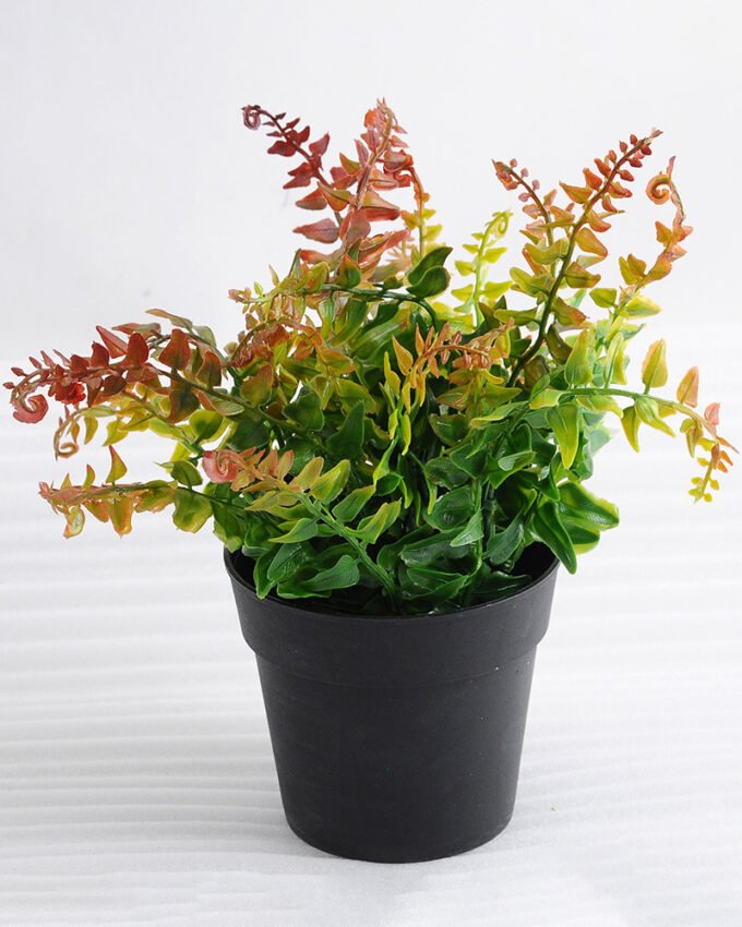 Artificial Plant 22*22*24cm Ferns in plastic pot GS-03318090-R2