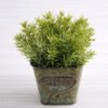 Artificial Plant 13*13*14.5cm Grass in Metal pot GS-03318193