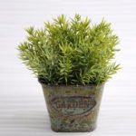 Artificial Plant 13*13*14.5cm Grass in Metal pot GS-03318193