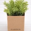 Artificial Plant 8*7*15cm Grass in PaPer wraP Pot GS-03318150