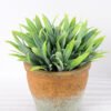 Artificial Plant H:14.5cm Grass in Paper pulp pot GS-6660689