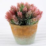 Artificial Plant H:14.5cm Grass in Paper pulp pot GS-6660691
