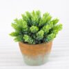 Artificial Plant H:14.5cm Grass in Paper pulp pot GS-6660691