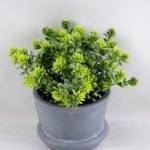 Artificial Plant 18*18*18cm Grass in paper pot GS-03318046