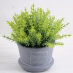 Artificial Plant 18*18*18cm Grass in paper pot GS-03318051