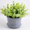 Artificial Plant 20*20*18cm Grass in paper pot GS-03318053