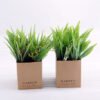 Artificial Plant Grass in paper pot GS-03318105-G1 2 Artificial Plant Grass in paper pot GS-03318105-G1