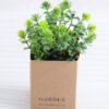 Artificial Plant 12*12*16cm Grass  in paper pot GS-03318107