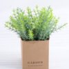 Artificial Plant 12*12*16cm Grass  in paper pot GS-03318108