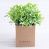 Artificial Plant 12*12*15cm Grass  in paper pot GS-03318109