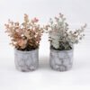 Artificial Plant 19*19*26cm Grass in paper pot GS-03318177-G1