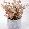 Artificial Plant 19*19*26cm Grass in paper pot GS-03318177-K1