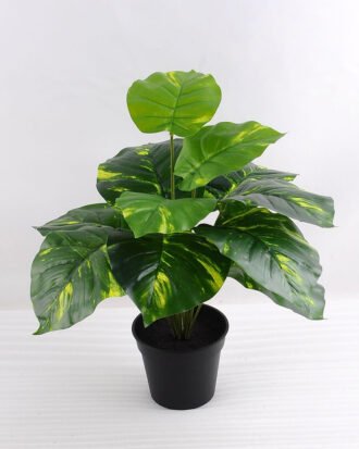 Artificial Plant 39*39*43cm Green leaf in plastic pot GS-03318152