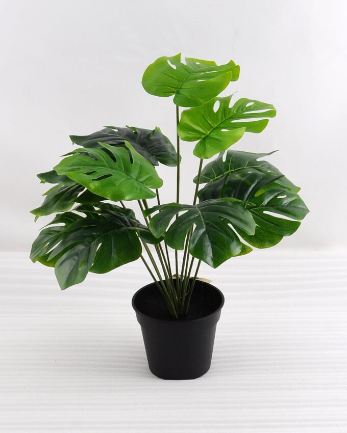 Artificial Plant 39*39*43cm Green leaf in plastic pot GS-03318154
