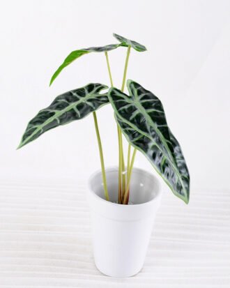 Artificial Plant H:34cm Leaf in Ceramic pot GS-6660686