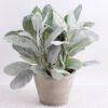 Artificial Plant 24*24*22cm Leaf in small cement pot GS-03318019
