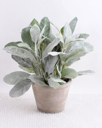 Artificial Plant 24*24*22cm Leaf in small cement pot GS-03318019