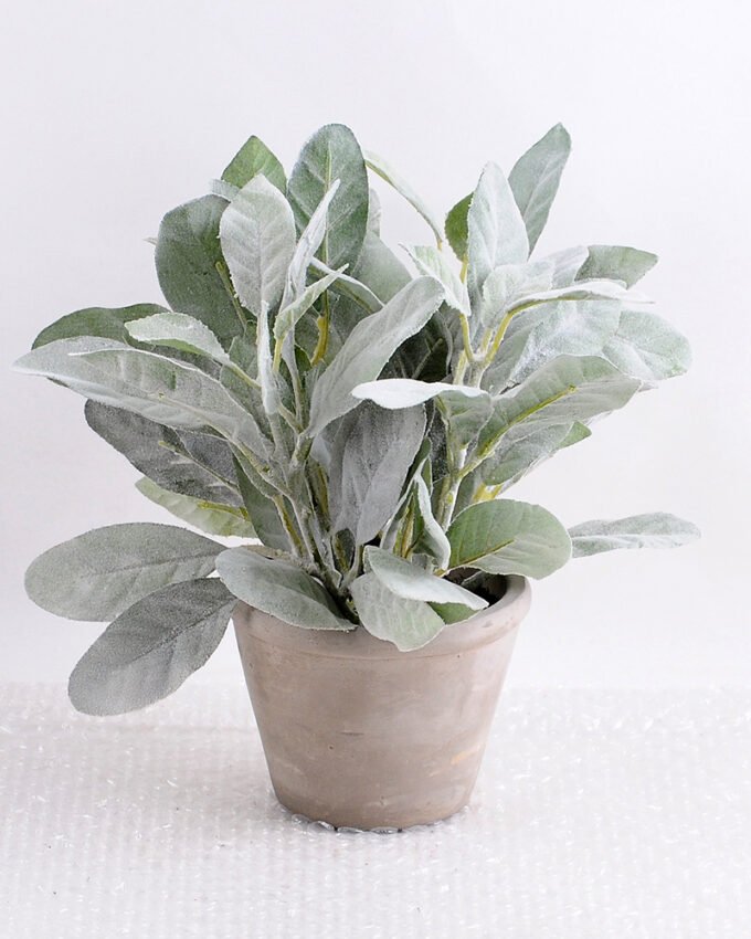 Artificial Plant 24*24*22cm Leaf in small cement pot GS-03318019