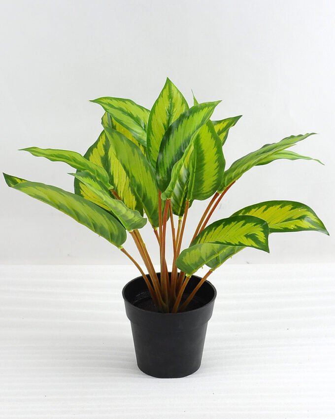Artificial Plant 32*32*33cm Leaves in plastic pot GS-03318098