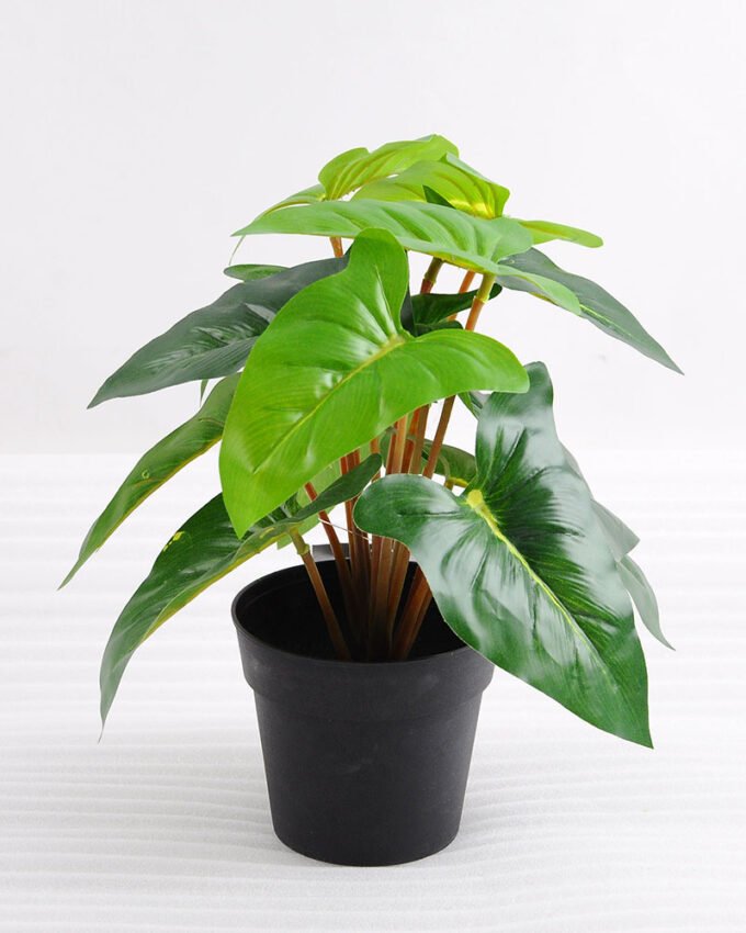 Artificial Plant 24*24*25cm Leaves in plastic pot GS-03318099