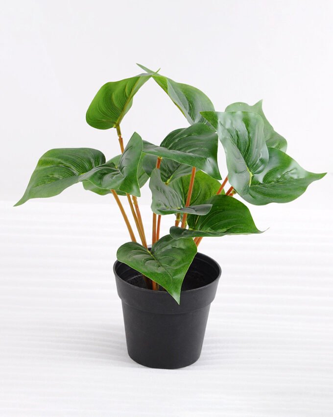 Artificial Plant 24*24*29cm Leaves in plastic pot GS-03318100