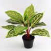 Artificial Plant 40*40*34cm Leaves in plastic pot GS-03318155