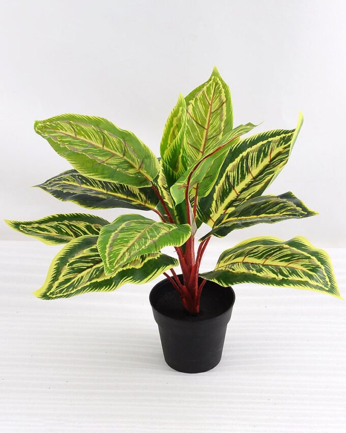 Artificial Plant 40*40*34cm Leaves in plastic pot GS-03318155