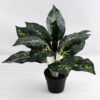 Artificial Plant 40*40*34cm Leaves in plastic pot GS-03318156