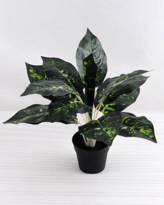 Artificial Plant 40*40*34cm Leaves in plastic pot GS-03318156