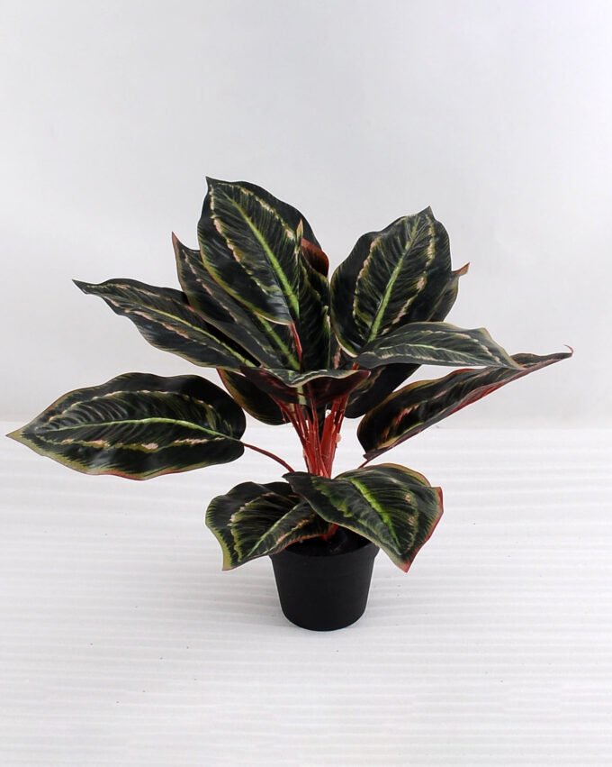 Artificial Plant 40*40*34cm Leaves in plastic pot GS-03318157