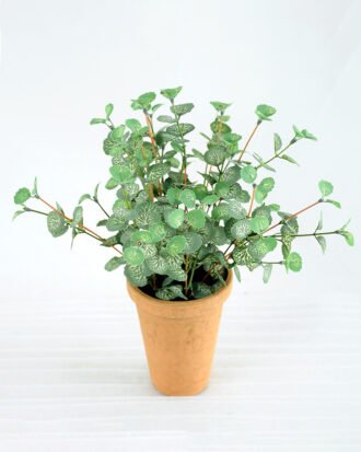 Artificial Plant H:28cm Mini leaf in paper pot GS-6660632 Potted Flowers&Plants YeahFlower is one of Chinese leading OEM manufacturers and exporters , supplying the silk flowers, wholesale artificial trees Artificial Plant H:28cm Mini leaf in paper pot GS-6660632