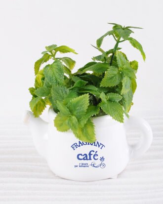 Artificial Plant H:16.5cm Mint in Ceramic pot GS-6660688 Potted Flowers&Plants YeahFlower is one of Chinese leading OEM manufacturers and exporters , supplying the silk flowers, wholesale artificial trees Artificial Plant H:16.5cm Mint in Ceramic pot GS-6660688