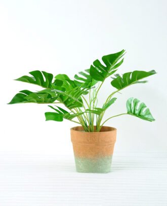 Artificial Plant H:27cm  Monstera in Paper pot GS-6660620
