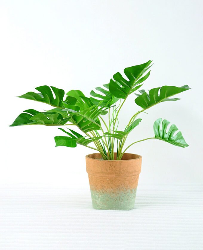 Artificial Plant H:27cm  Monstera in Paper pot GS-6660620