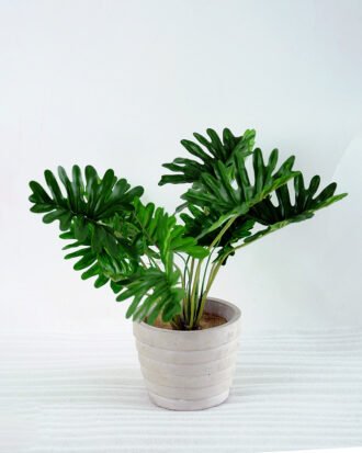 Artificial Plant H:27cm Philodendron in Cement pot GS-6660619