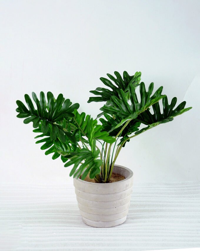 Artificial Plant H:27cm Philodendron in Cement pot GS-6660619