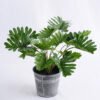 Artificial Plant 30*25*28cm Philodendron in Metal pot GS-66618004